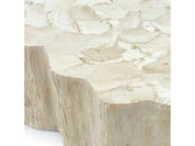 CAMILLA FOSSILIZED CLAM COFFEE TABLE