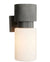 Crawford Outdoor Sconce