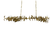 EUCALYPTUS LEAF BRASS CHANDELIER