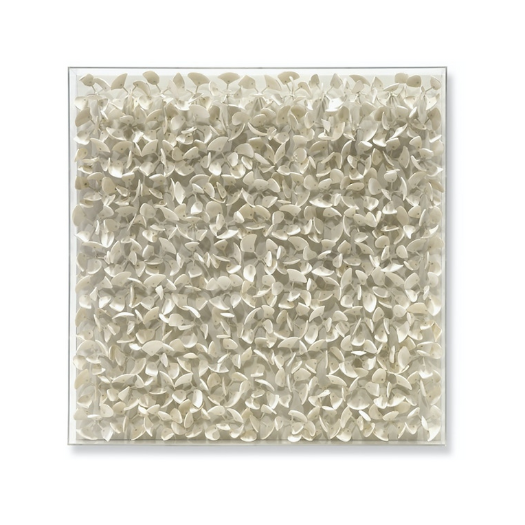 Adrift Coco Wall Decor