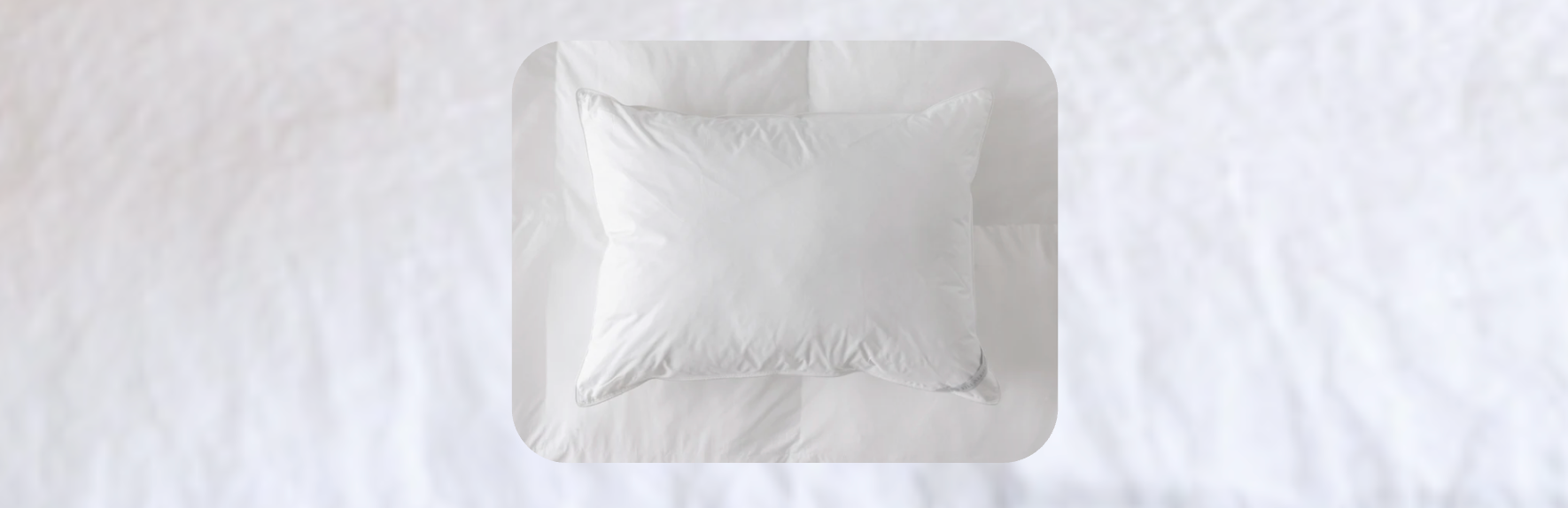 Queen Pillow Insert