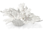 HANA PORCELAIN DECOR