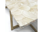 DURHAM FOSSILIZED CLAM COFFEE TABLE
