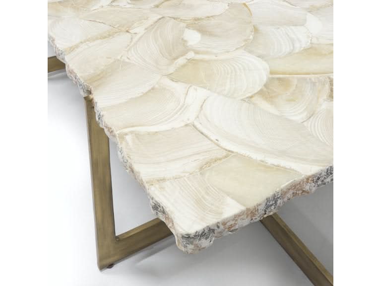 DURHAM FOSSILIZED CLAM COFFEE TABLE