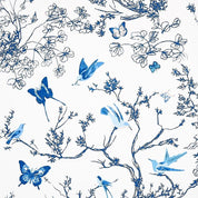 BIRDS & BUTTERFLIES