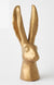 Rabbit – Reactive Matte Gold – Medium