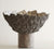 Petaled Pedestal Compote – Natural