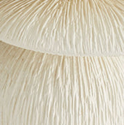 Felicia Outdoor Accent Table