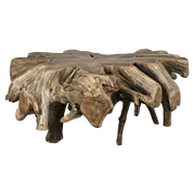 TEAK ROOT COFFEE TABLE