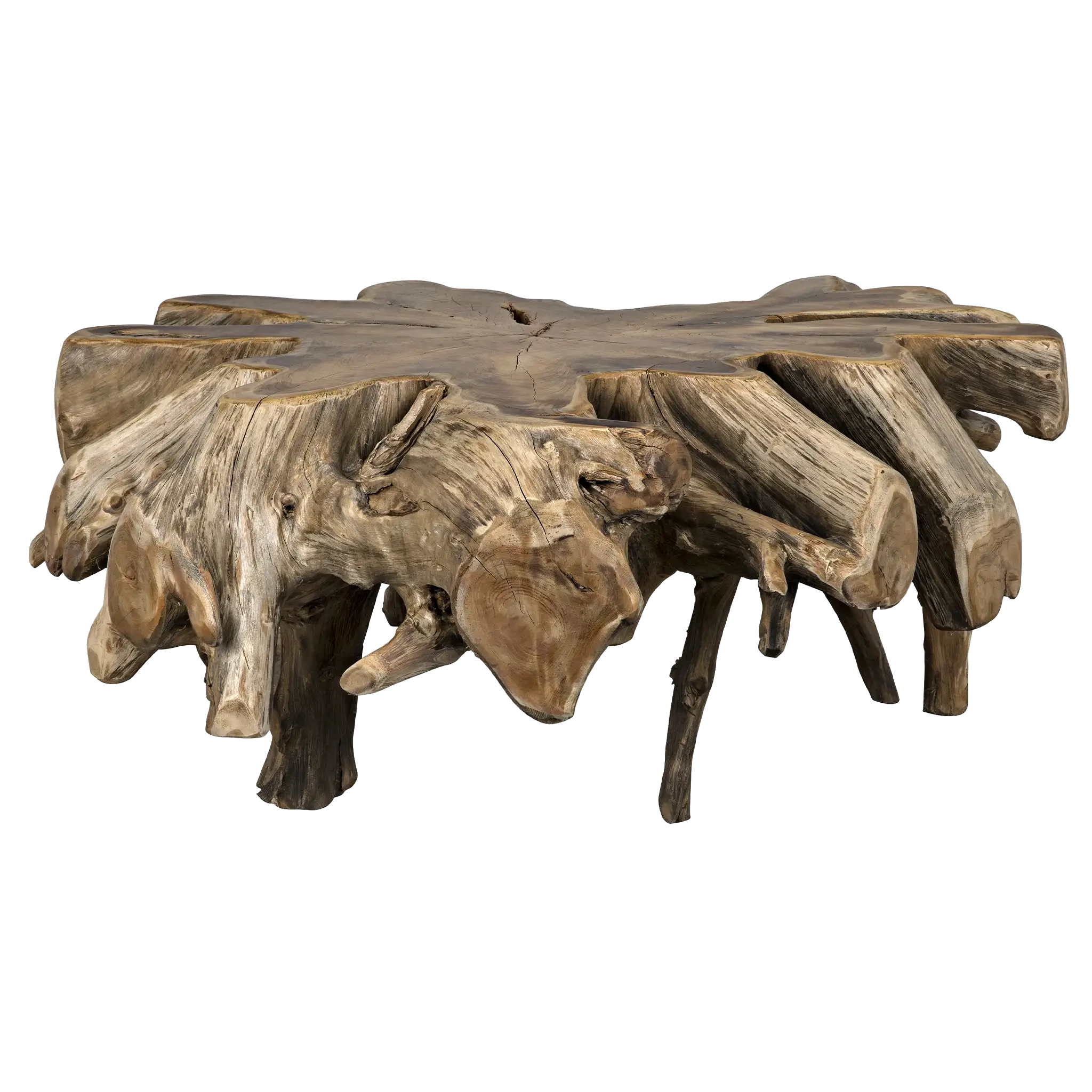 TEAK ROOT COFFEE TABLE