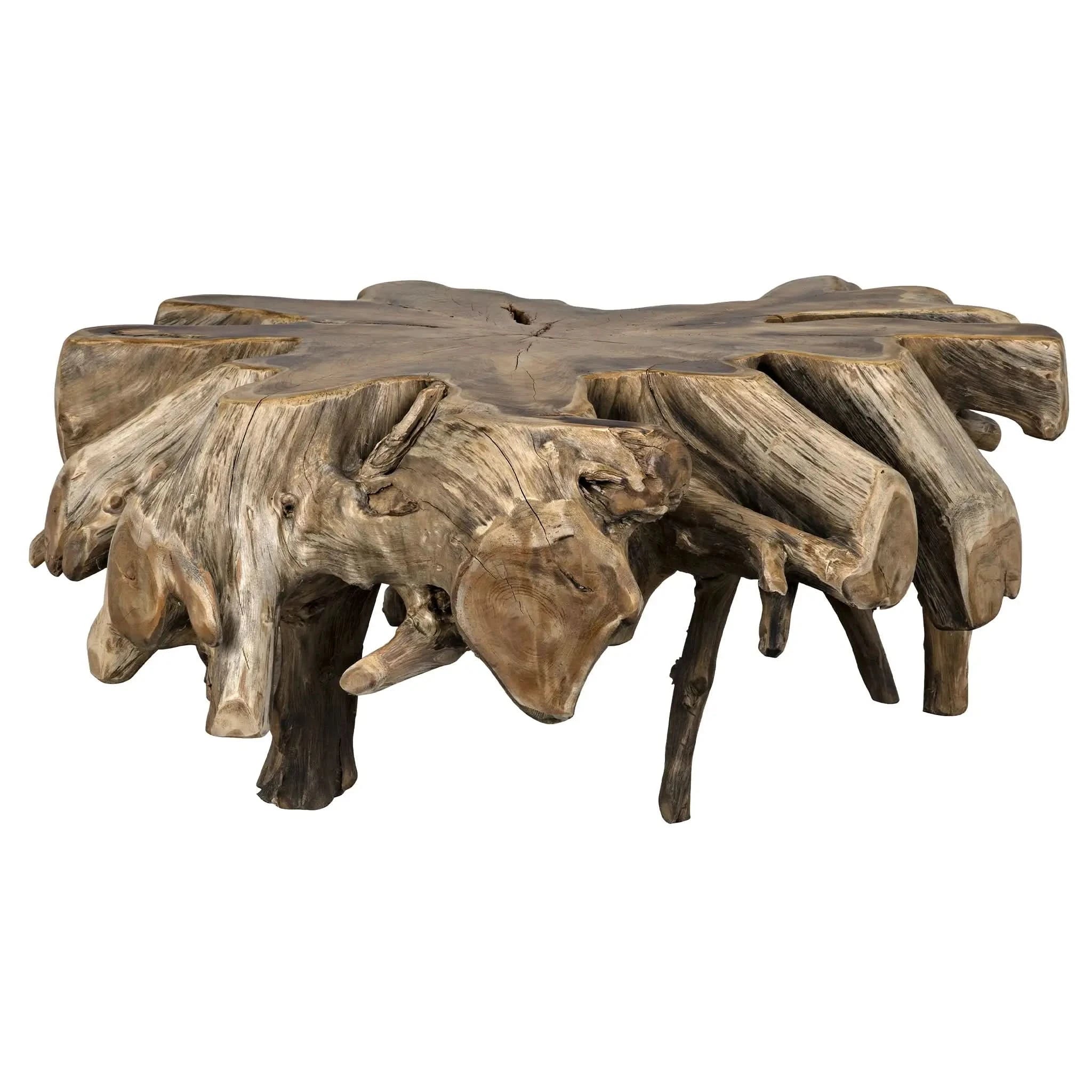 TEAK ROOT COFFEE TABLE