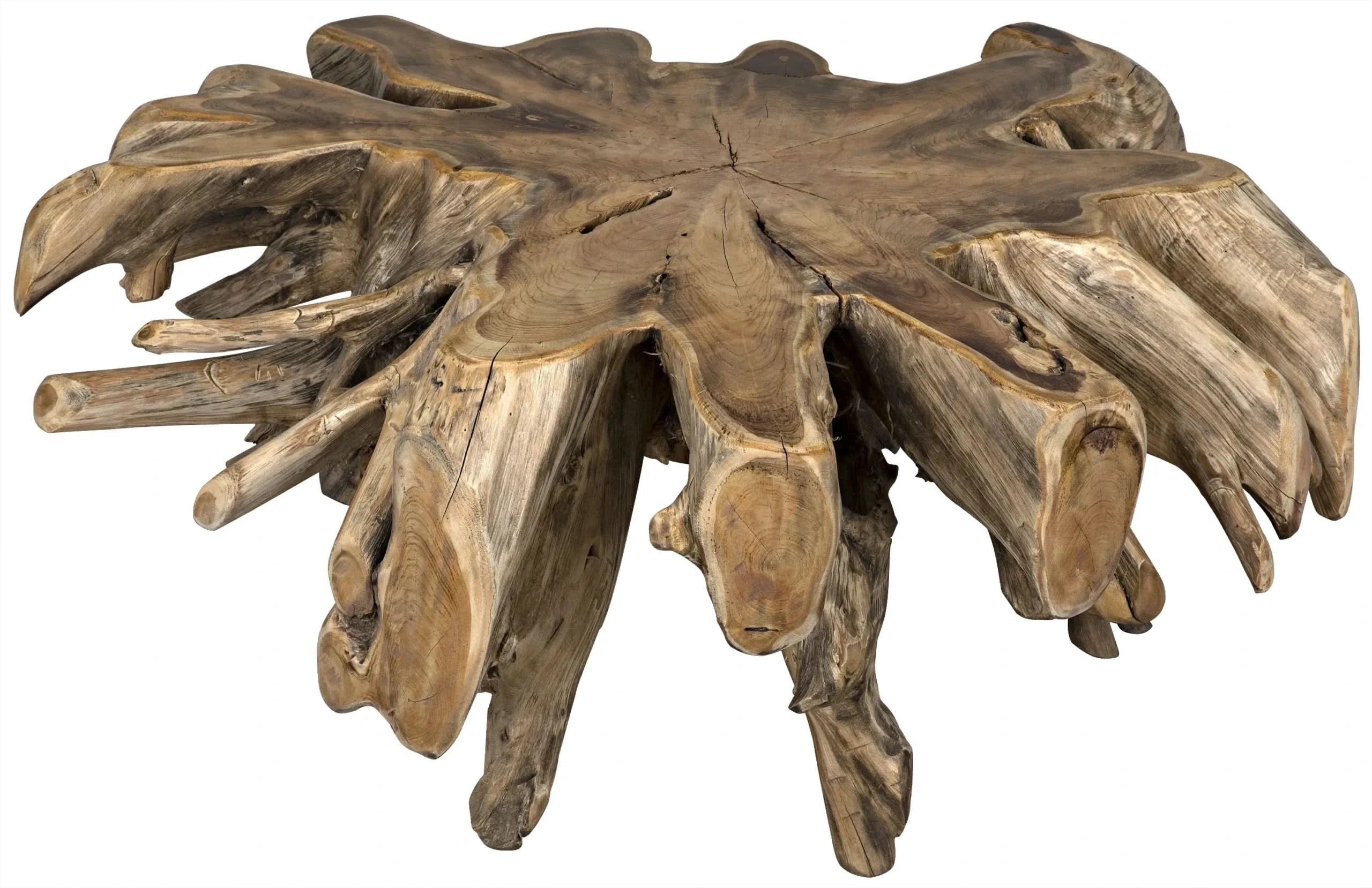 TEAK ROOT COFFEE TABLE