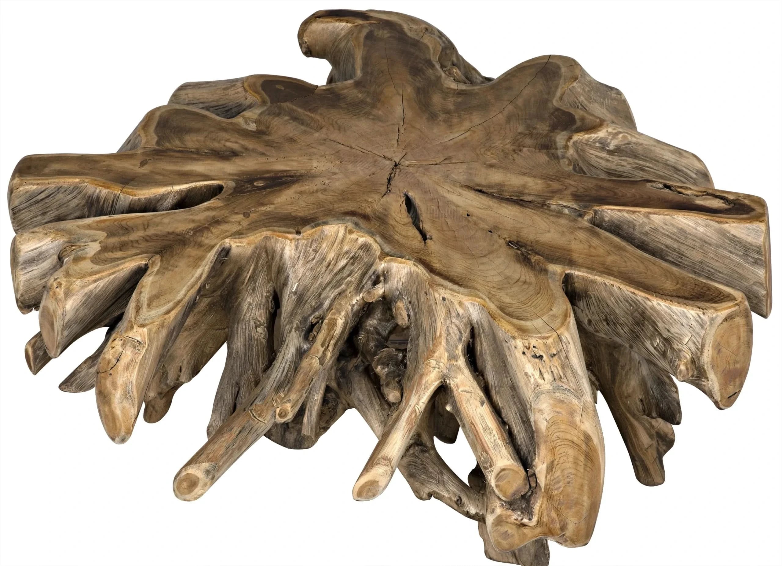 TEAK ROOT COFFEE TABLE