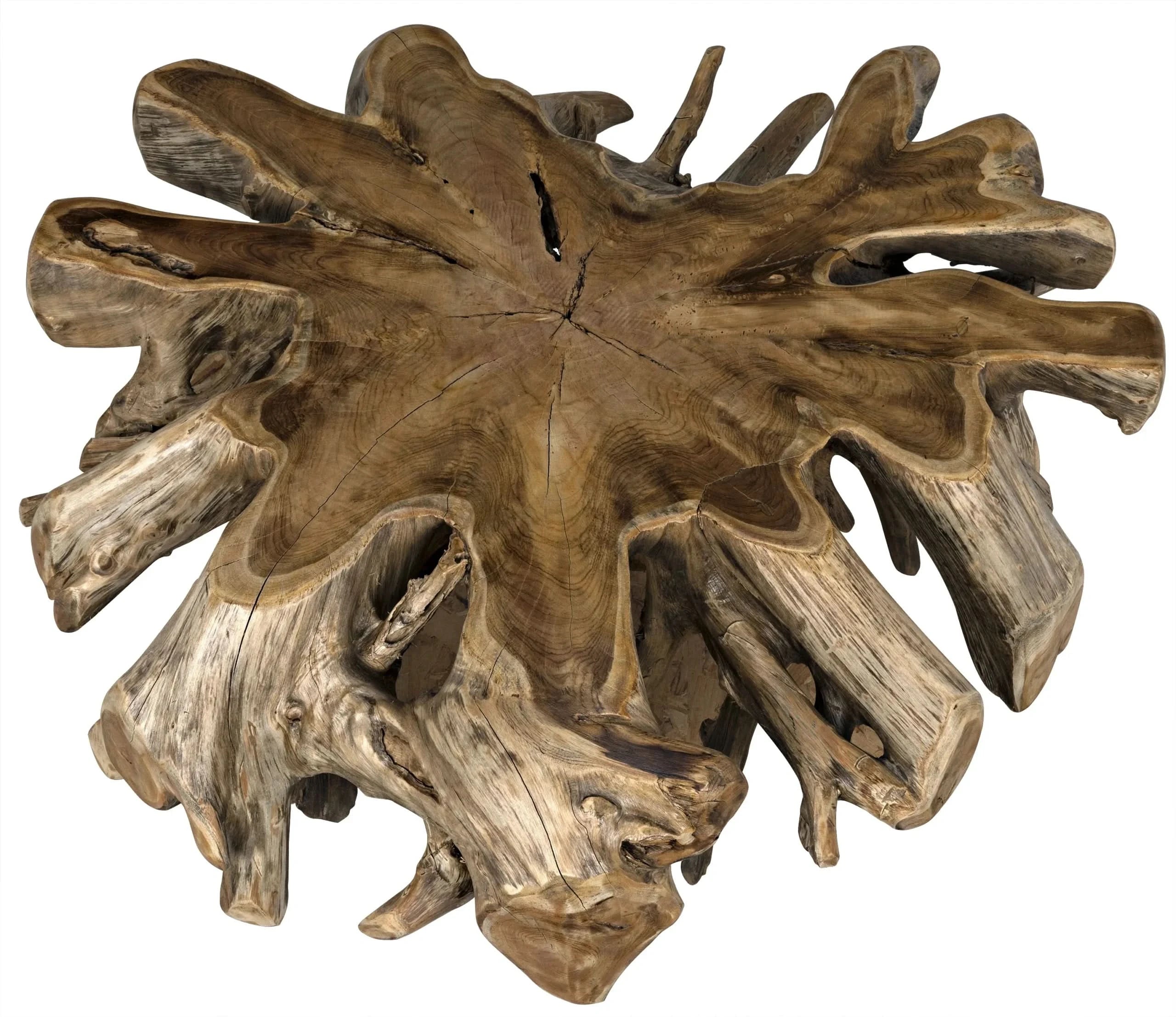 TEAK ROOT COFFEE TABLE