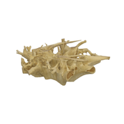 TEAK ROOT T COFFEE TABLE BLEACHED, SQUARE