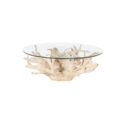 TEAK ROOT COFFEE TABLE BLEACHED
