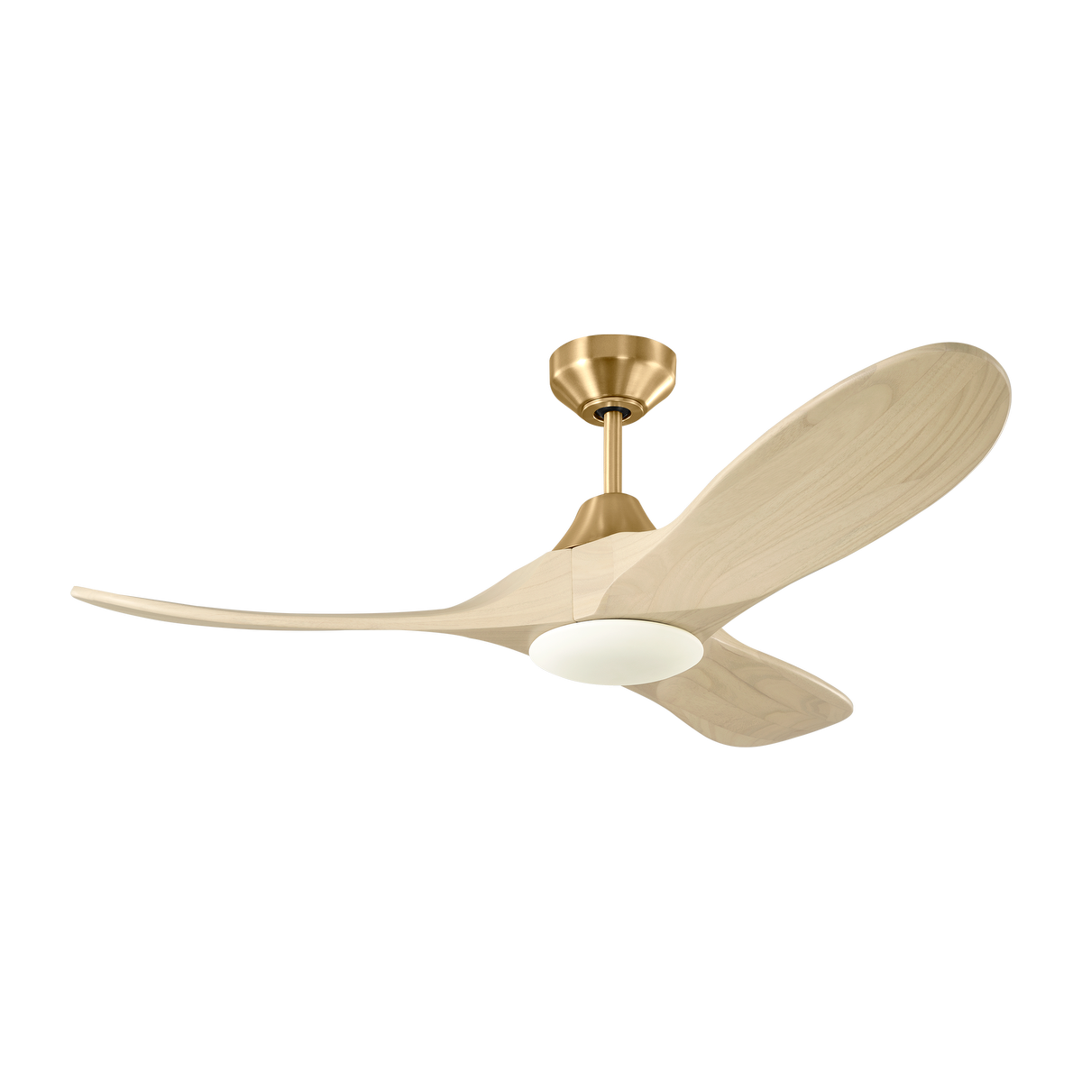 fan1_cf175d1a-71ec-4b2a-a1b2-81d1ace642d9.webp