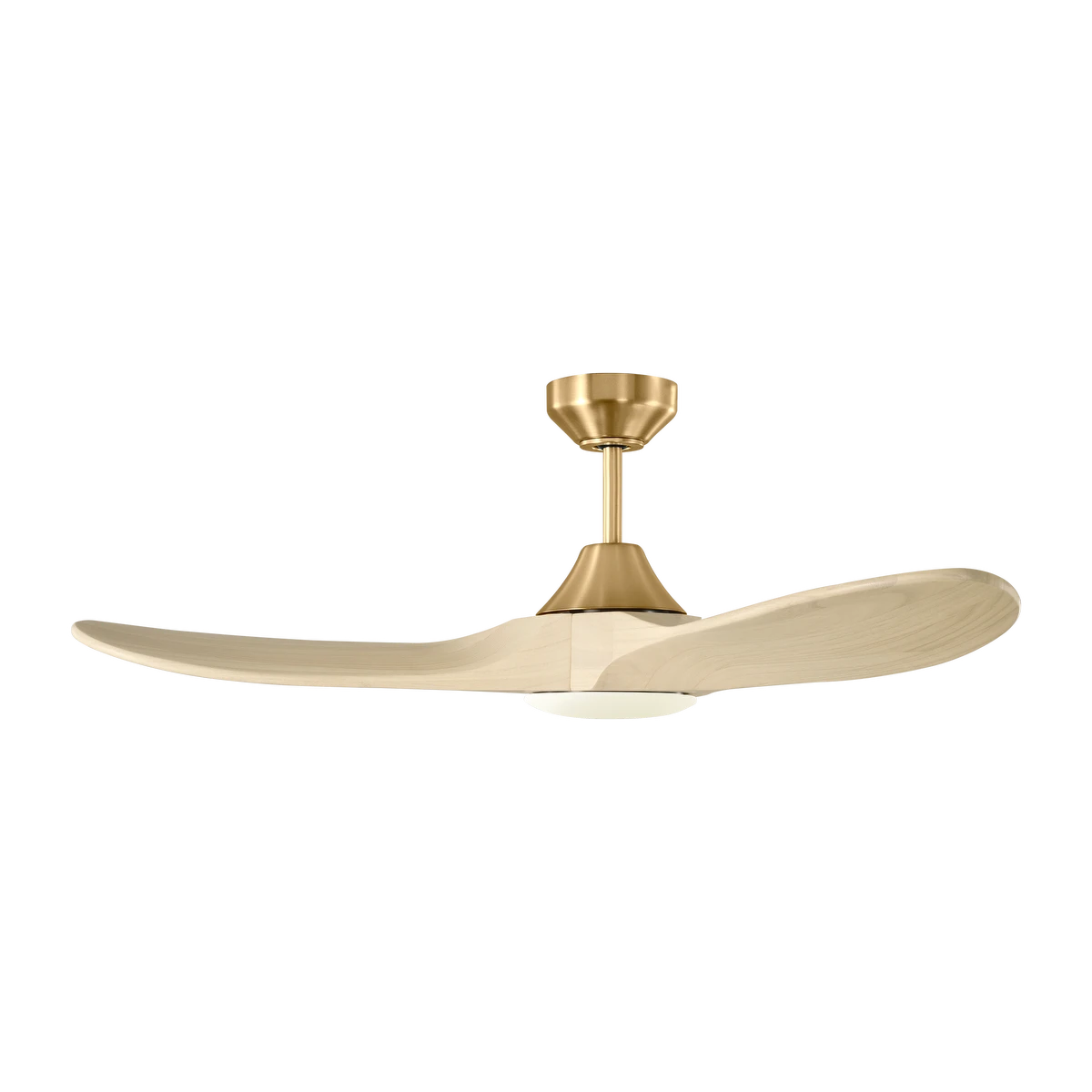 fan_2.webp
