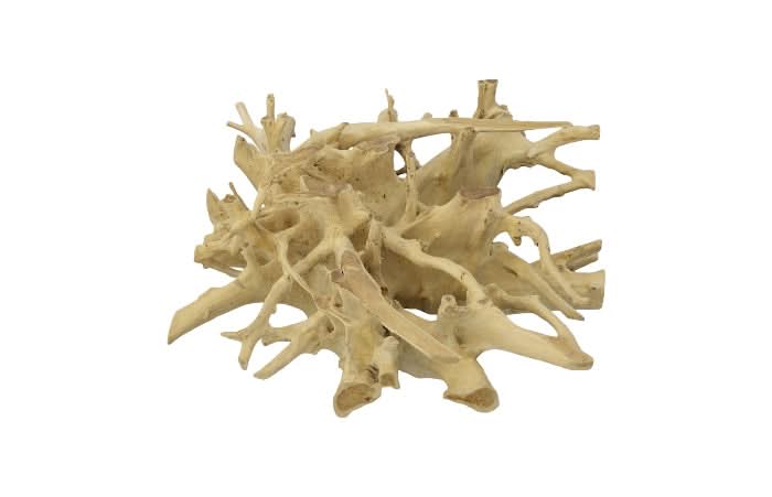 TEAK ROOT T COFFEE TABLE BLEACHED, SQUARE