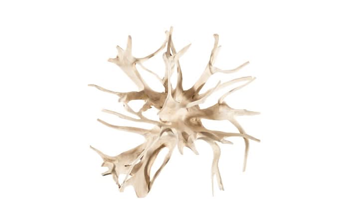 TEAK ROOT COFFEE TABLE BLEACHED