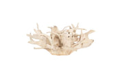 TEAK ROOT COFFEE TABLE BLEACHED